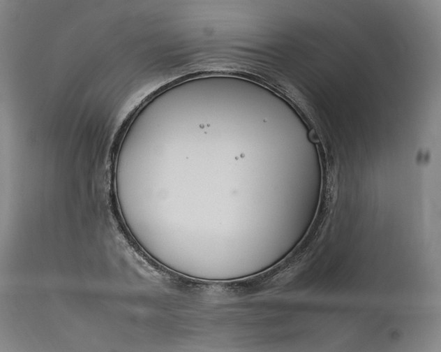 X0000111210787200907151436