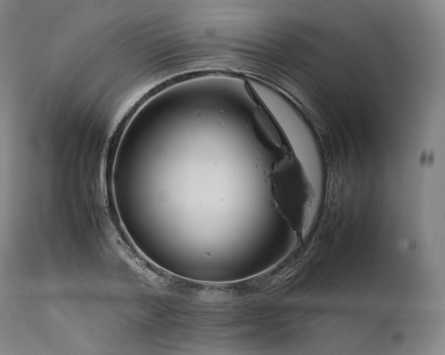 X0000111210788200907151436