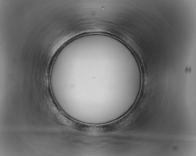 X0000111210789200907151436