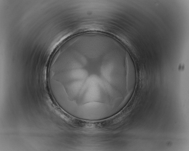 X0000111210790200907151436