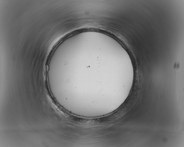 X0000111210791200907151436