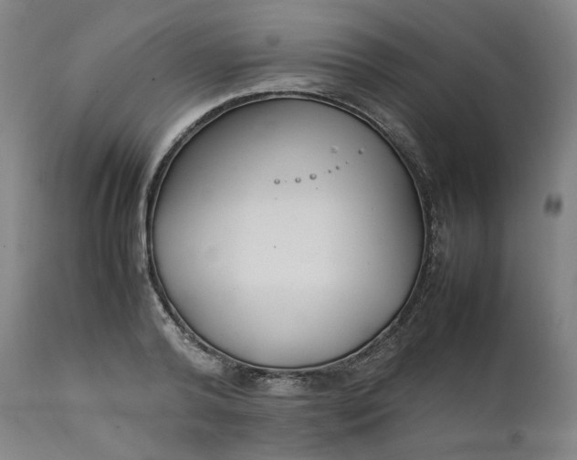 X0000111210792200907151436