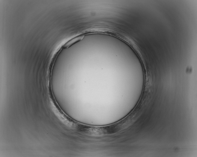 X0000111210795200907151436