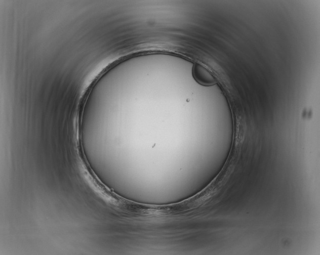 X0000111210796200907151436