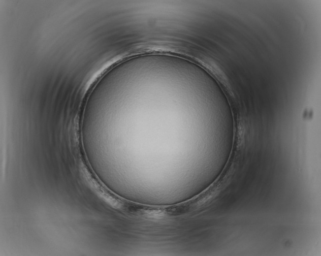 X0000111210798200907151436