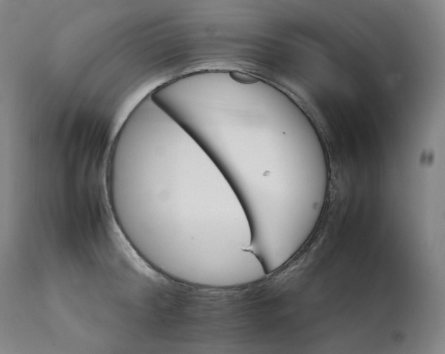 X0000111210804200907151436