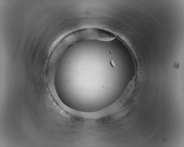 X0000111210807200907151436