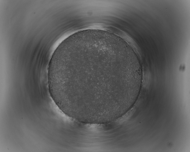 X0000111210808200907151436