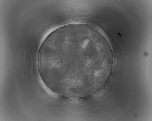 X0000111210811200907151436