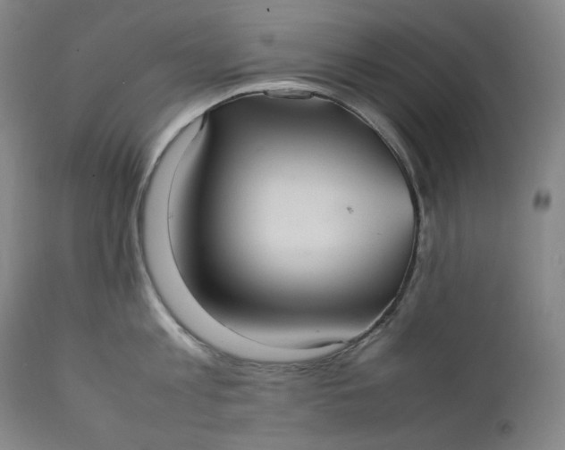 X0000111210813200907151436