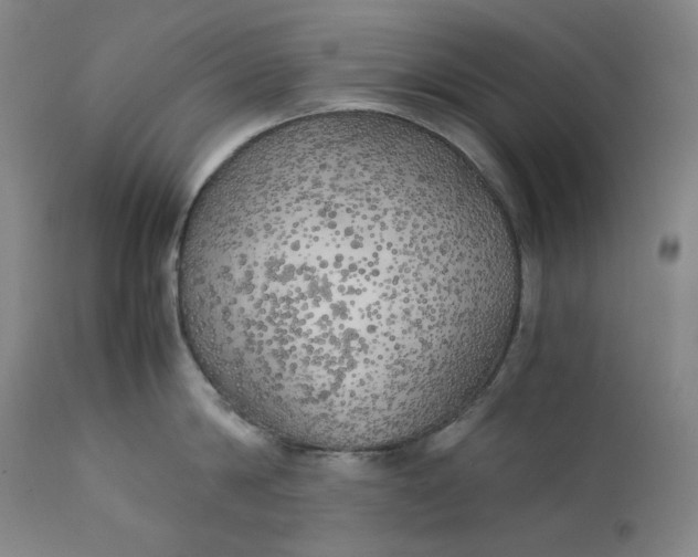 X0000111210814200907151436