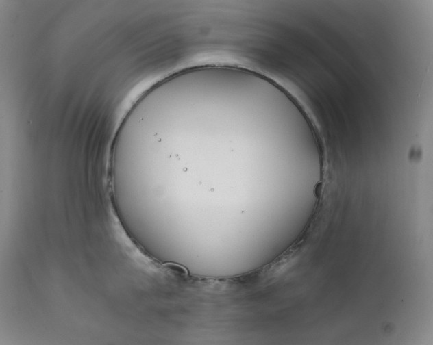 X0000111210815200907151436