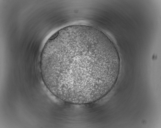 X0000111210816200907151436