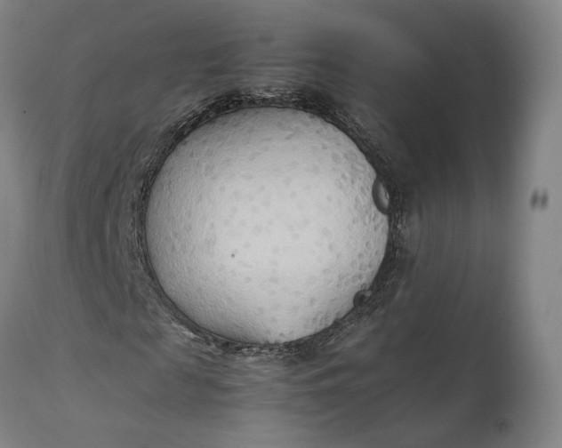 X0000111210817200907151435