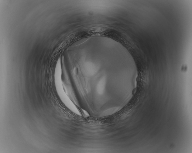 X0000111210818200907151435