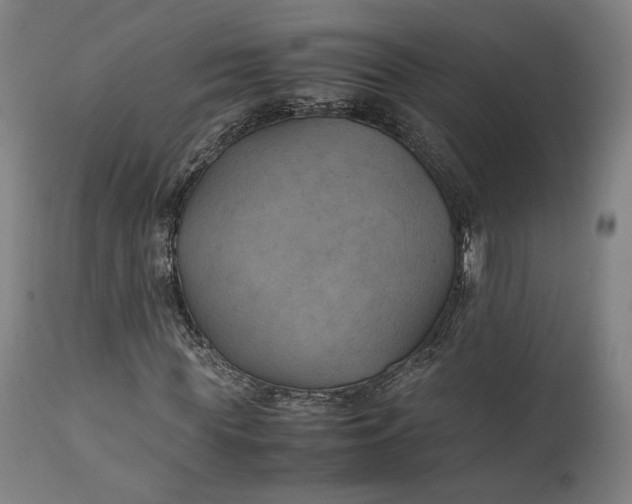 X0000111210819200907151435