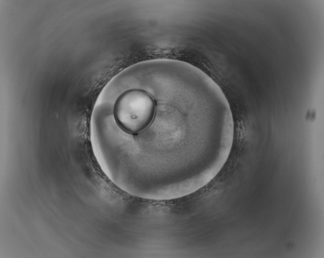 X0000111210820200907151435