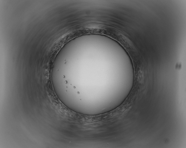 X0000111210821200907151435