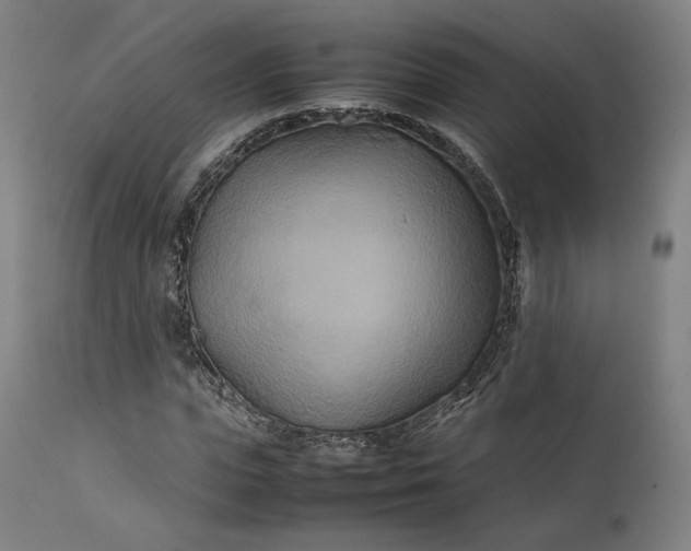 X0000111210823200907151435