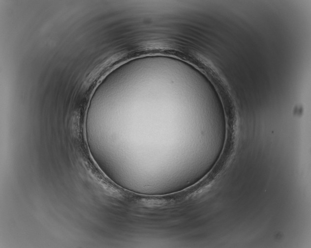 X0000111210825200907151436