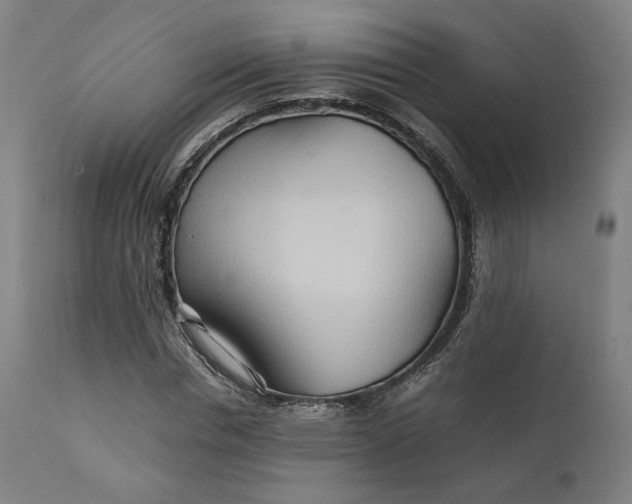 X0000111210826200907151436