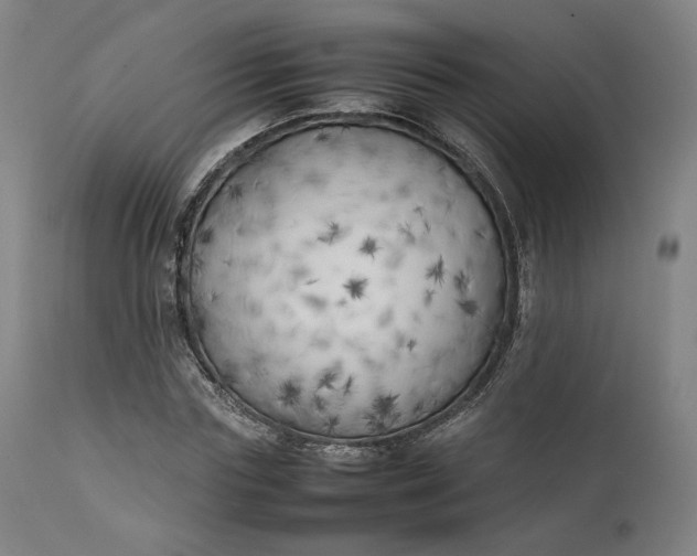 X0000111210827200907151436