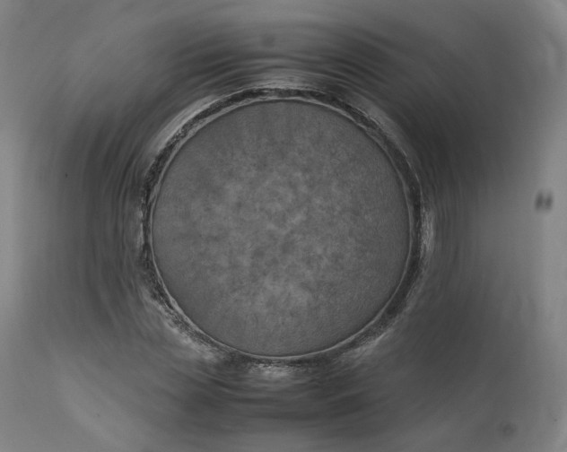 X0000111210829200907151436