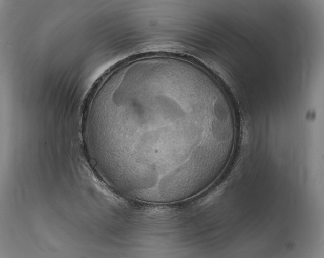 X0000111210830200907151436