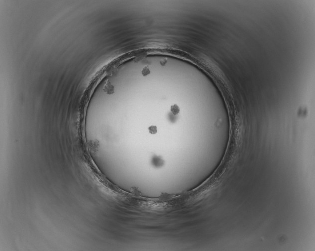 X0000111210831200907151436