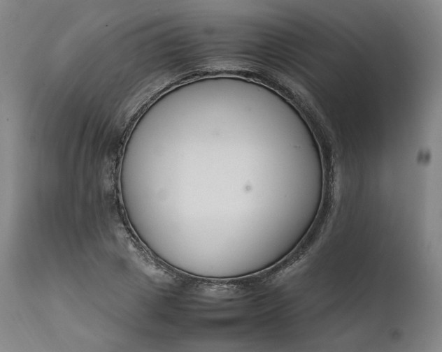 X0000111210833200907151436