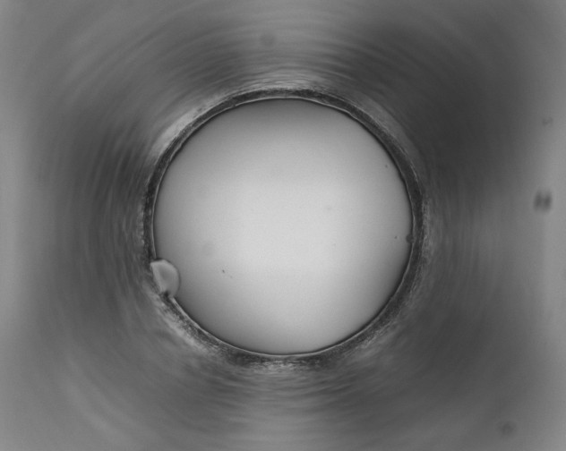 X0000111210834200907151436