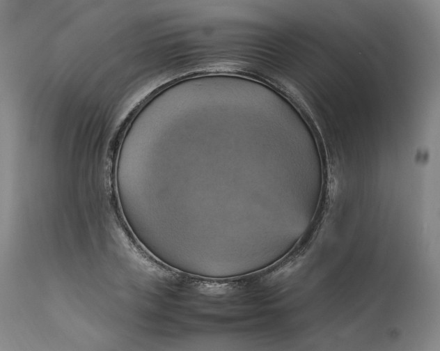 X0000111210835200907151436