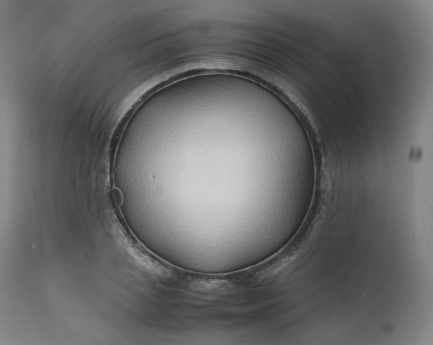 X0000111210837200907151436