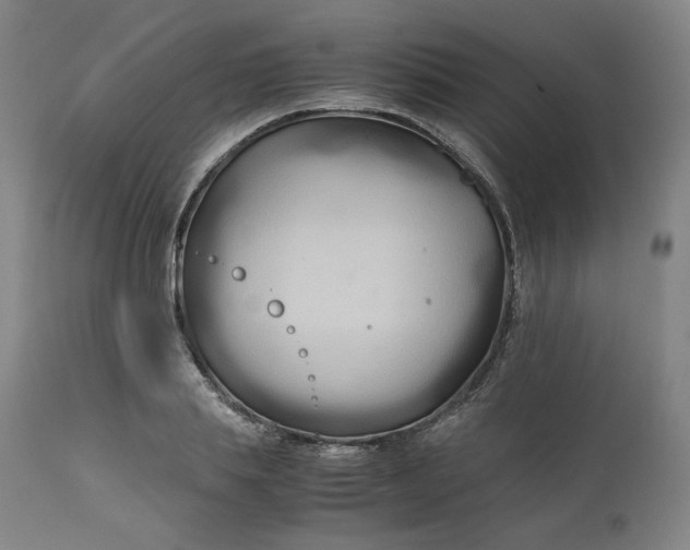 X0000111210839200907151436