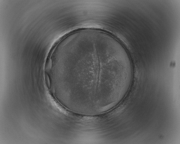 X0000111210840200907151436