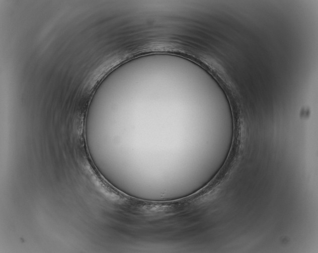 X0000111210841200907151436