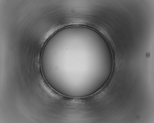 X0000111210842200907151436