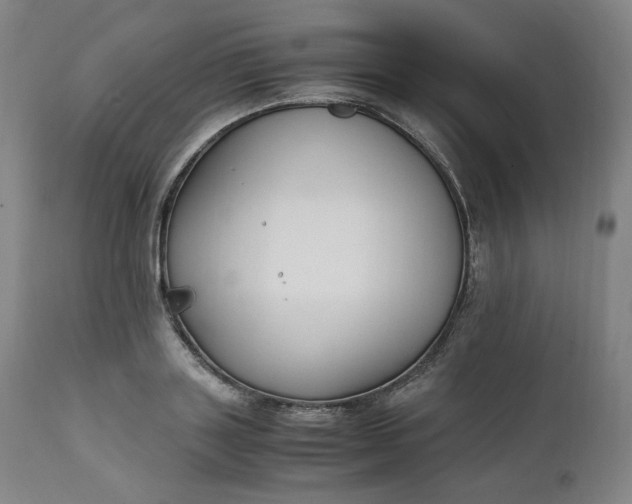 X0000111210843200907151436