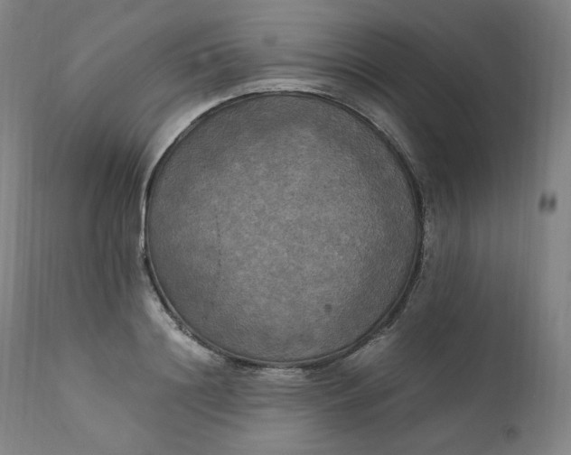 X0000111210844200907151436