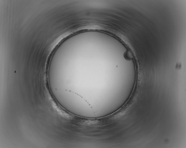 X0000111210845200907151436