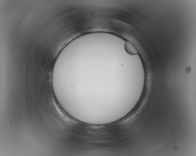 X0000111210849200907151436