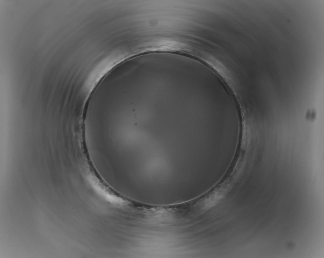 X0000111210850200907151436