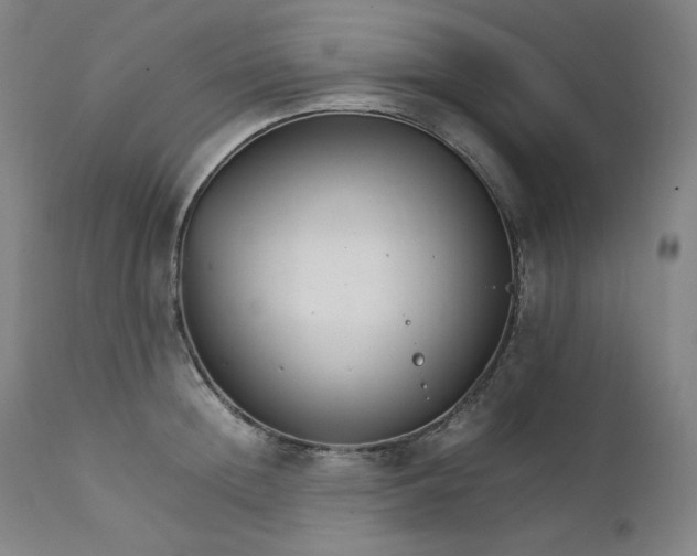 X0000111210852200907151436