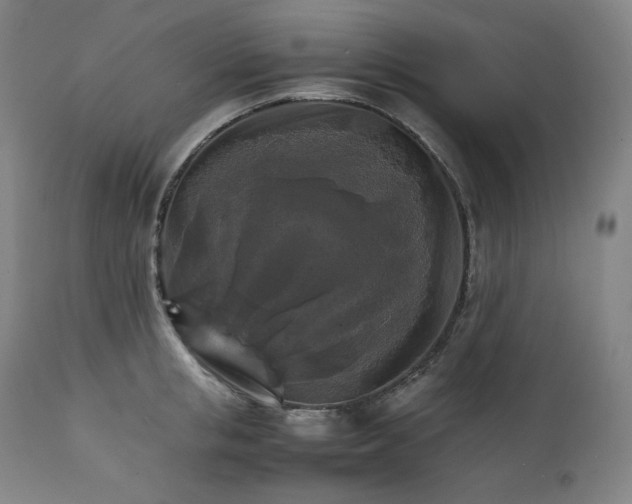 X0000111210853200907151436