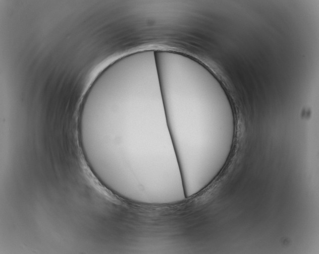 X0000111210854200907151436