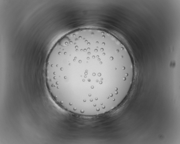 X0000111210855200907151436