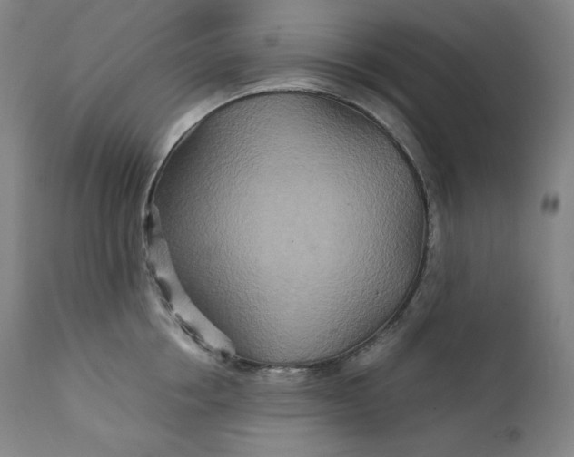 X0000111210858200907151436