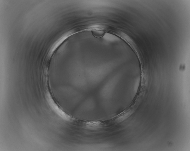 X0000111210859200907151436