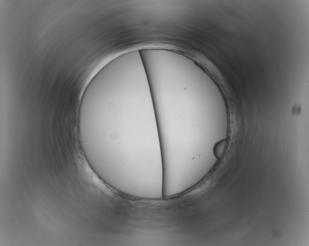 X0000111210860200907151436