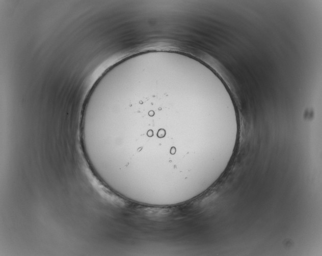 X0000111210861200907151436